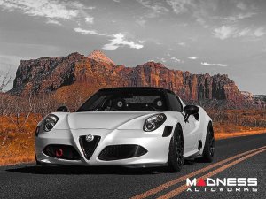 Alfa Romeo 4C Carbon Fiber Front Bumper Center Grille Frame 